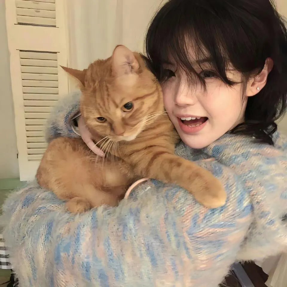 萌宝助攻妈咪改嫁成功了