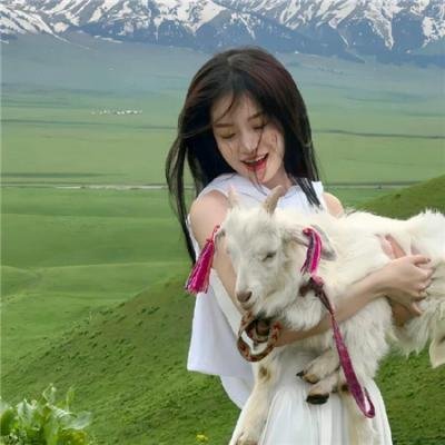 战总的隐婚娇妻战总夫人在线打脸